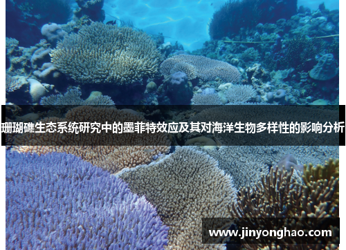 珊瑚礁生态系统研究中的墨菲特效应及其对海洋生物多样性的影响分析